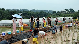“六一遇端午 粽享童趣”—興瀘投資集團(tuán)機(jī)關(guān)工會(huì)開(kāi)展親子戶(hù)外活動(dòng)